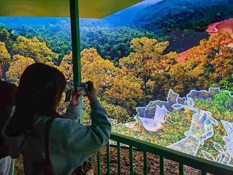  灵活休假机制：激活春日旅游市场的倍增效应 文化旅游