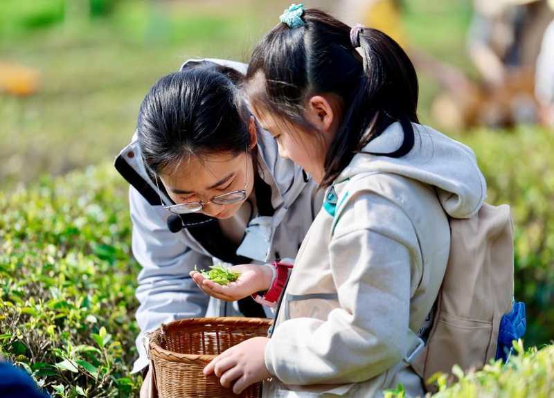  灵活休假机制：激活春日旅游市场的倍增效应 文化旅游