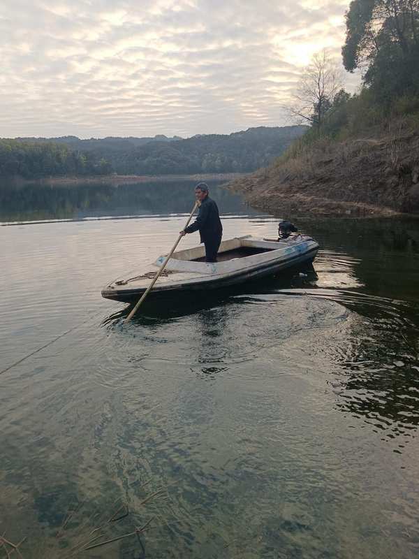  退休后选择水库孤岛，常德老局长十年自给自足；虽有喂养家禽的琐碎烦恼，却乐在其中。 健康养生