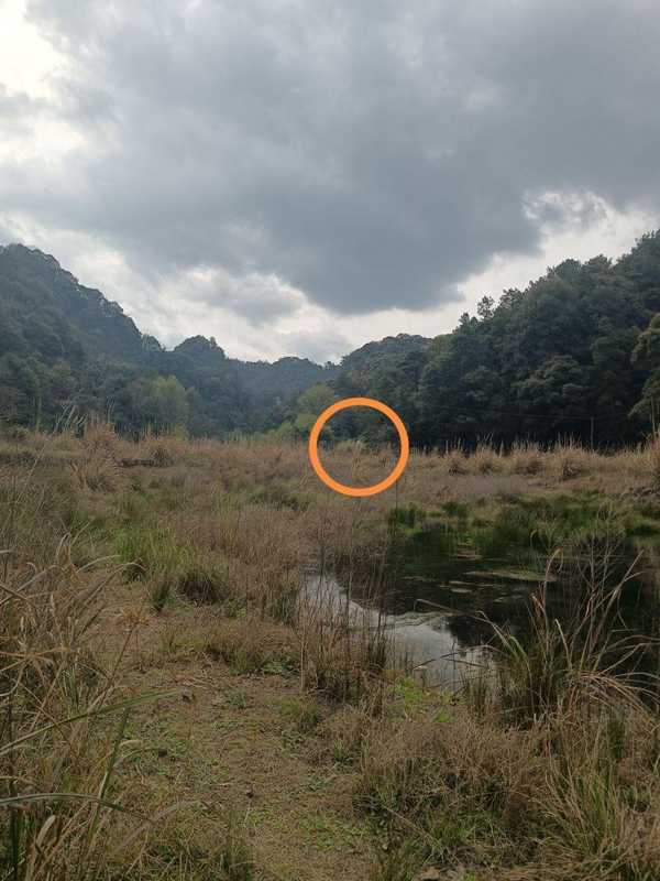  退休后选择水库孤岛，常德老局长十年自给自足；虽有喂养家禽的琐碎烦恼，却乐在其中。 健康养生