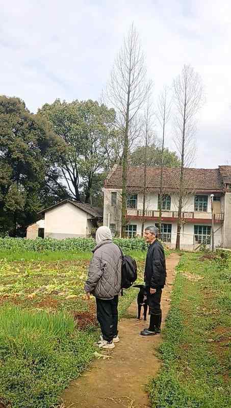  退休后选择水库孤岛，常德老局长十年自给自足；虽有喂养家禽的琐碎烦恼，却乐在其中。 健康养生