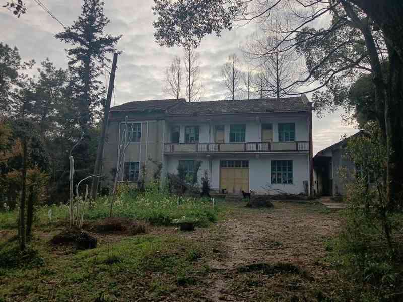  退休后选择水库孤岛，常德老局长十年自给自足；虽有喂养家禽的琐碎烦恼，却乐在其中。 健康养生