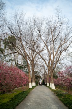  霍尔木兹海峡危机升级；美国联盟计划遇阻，盟友优先自身利益。 新闻 霍尔木兹海峡危机升级；美国联盟计划遇阻，盟友优先自身利益。 新闻