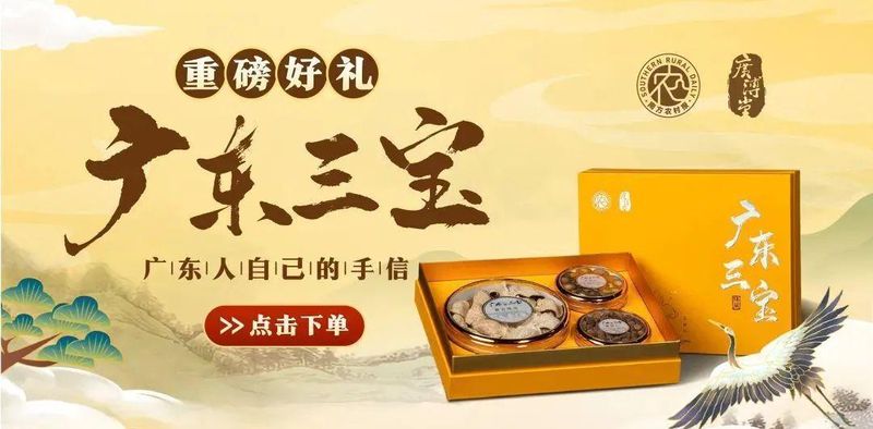  【深度复盘】玉米密植增产：数据驱动下的精准密度决策模型 新闻