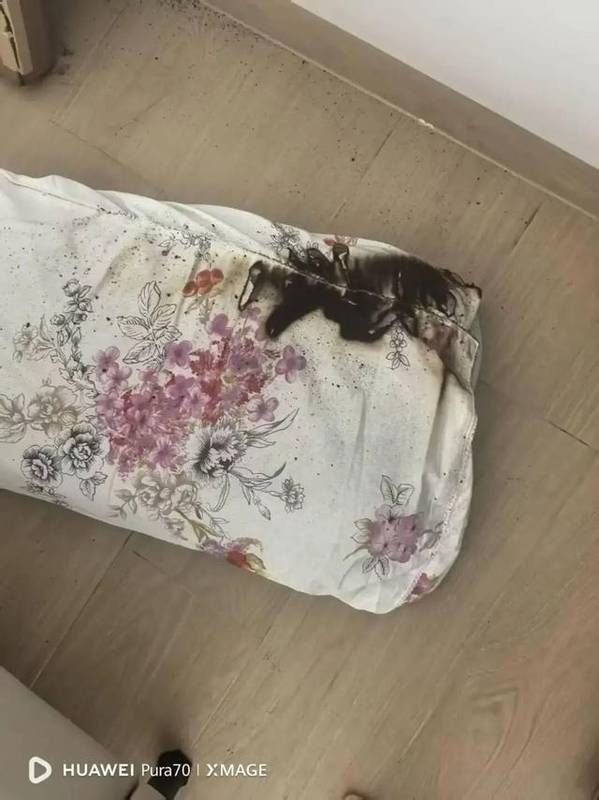  清明假期的惊魂72小时：一个广州家庭与充电宝爆燃的真实经历 新闻