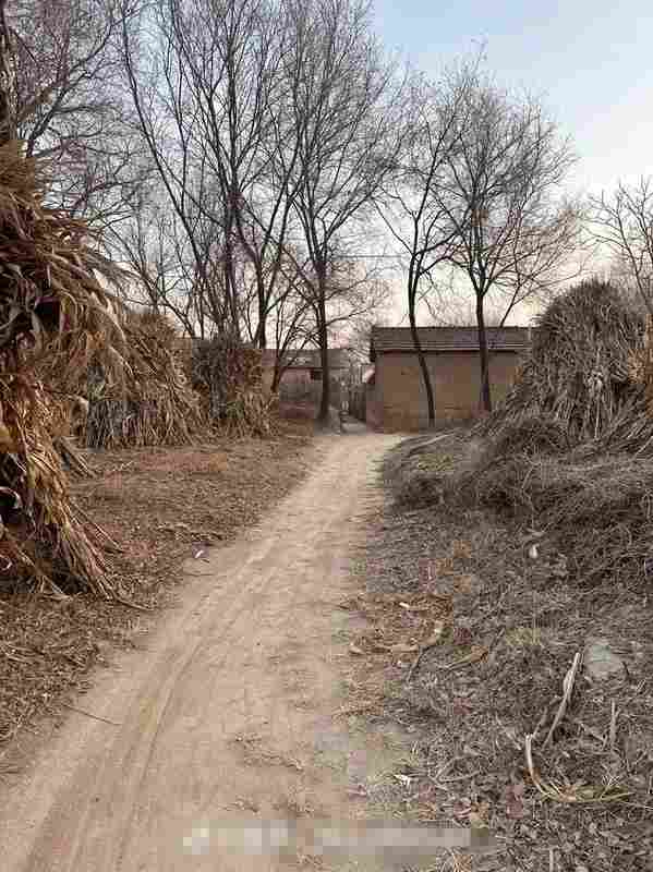  相亲市场上，那些“抢手”的男孩，都做对了什么？ 情感心理