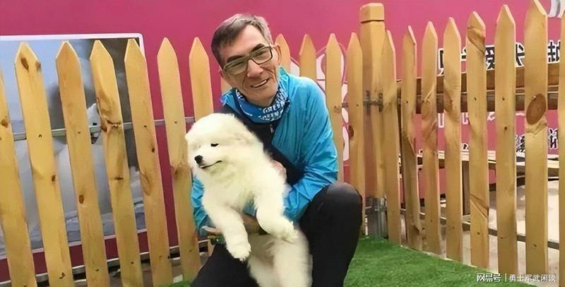  从TVB反派到武术传承者：麦子云四十年演艺与商海转型深度复盘 影视小说