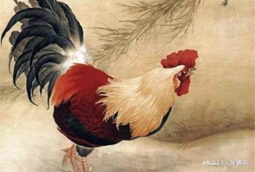  低谷期的你，熬过去就是晴天！这三个生肖即将迎来人生转折点 情感心理