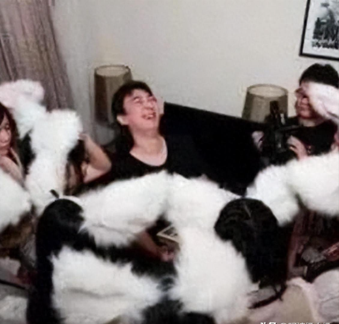  流量博弈中的商业博弈：万达广场何以成为直播带货的“天然战场”？ 娱乐新闻