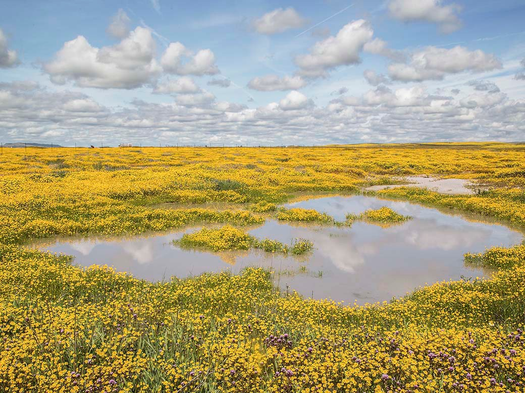  生肖性格与财富机遇的深层逻辑：从兔·龙·猪看人际资源的变现路径 情感心理