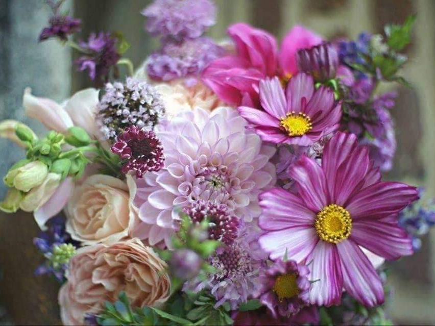  生肖性格与财富机遇的深层逻辑：从兔·龙·猪看人际资源的变现路径 情感心理