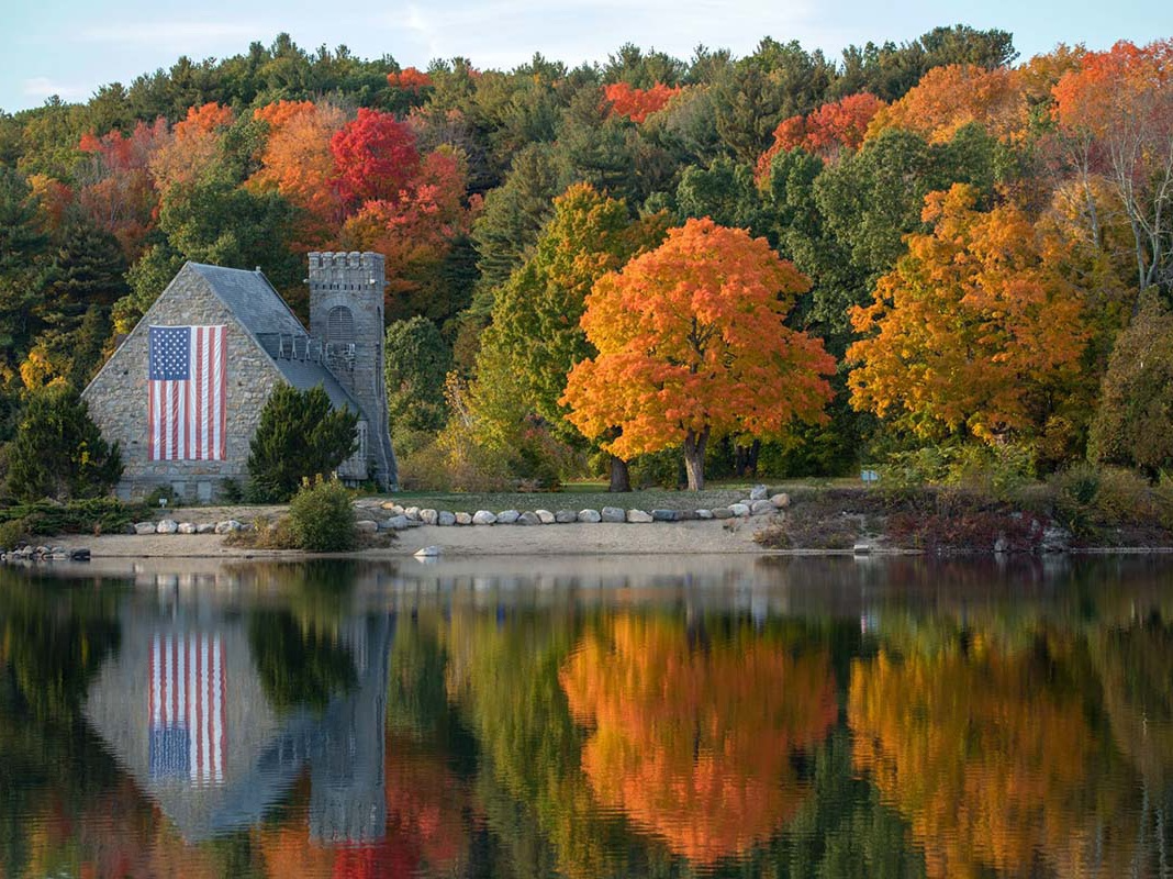  生肖性格与财富机遇的深层逻辑：从兔·龙·猪看人际资源的变现路径 情感心理