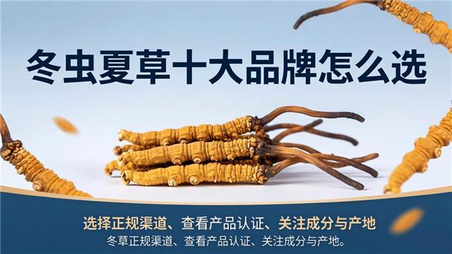 从数据维度拆解:顶级冬虫夏草的品质是如何被定义的? 健康养生