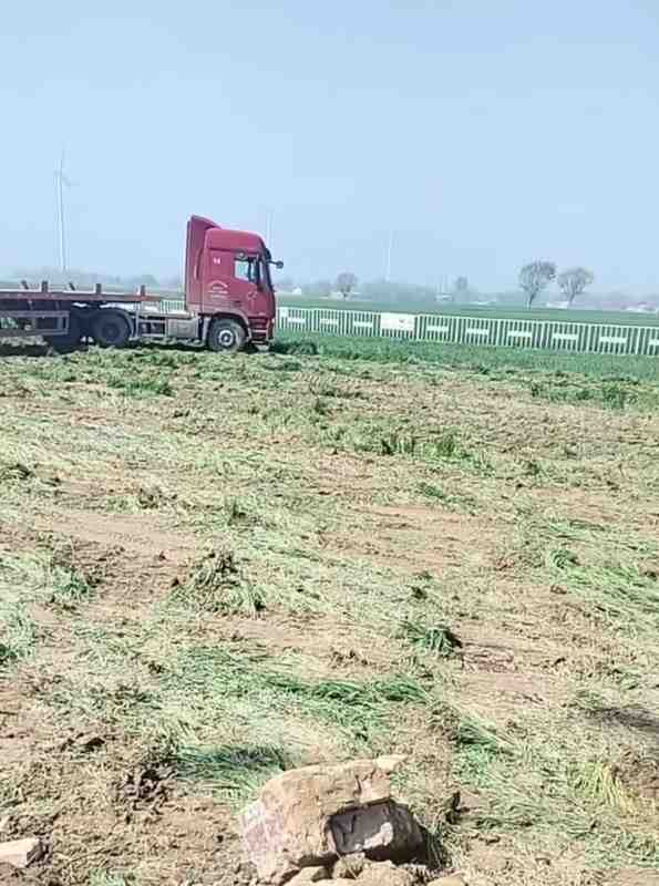  风电项目耕地违法占用：法律红线与技术剖析——山东夏津案例深度解读 新闻 风电项目耕地违法占用：法律红线与技术剖析——山东夏津案例深度解读 新闻