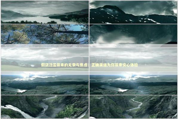 假货泛滥带来的无奈与焦虑：正确渠道为你带来安心体验 新闻