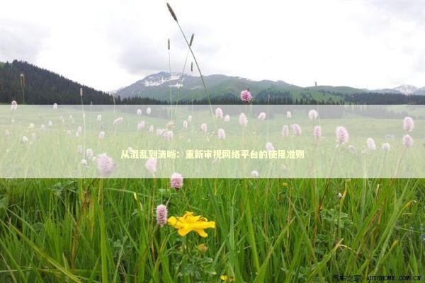从混乱到清晰：重新审视网络平台的使用准则 IT技术