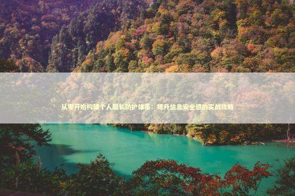 从零开始构建个人隐私防护体系：提升信息安全感的实战攻略 IT技术