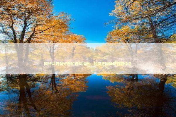 网络冲浪爱好者的进阶指南：如何更顺畅地获取信息 IT技术