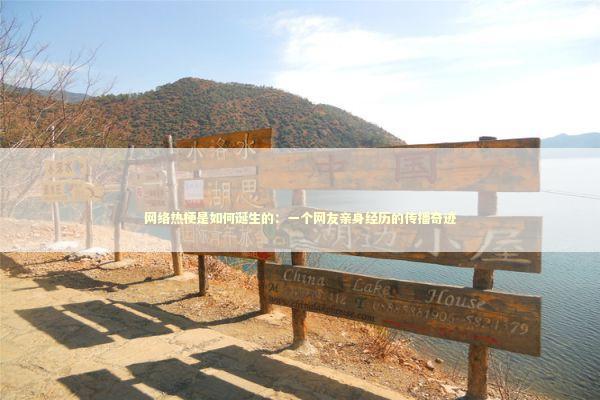 网络热梗是如何诞生的：一个网友亲身经历的传播奇迹 娱乐新闻