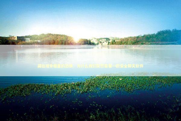 藏在搜索框里的恐惧：为什么我们突然需要一款安全聊天软件 IT技术