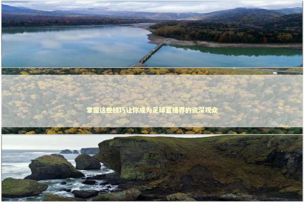 掌握这些技巧让你成为足球直播界的资深观众 体育新闻