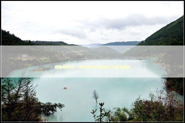 我是如何在一周内解决跨国团队沟通难题的 IT技术