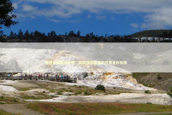 那些年我踩过的坑：如何找到靠谱的代发合作伙伴 新闻