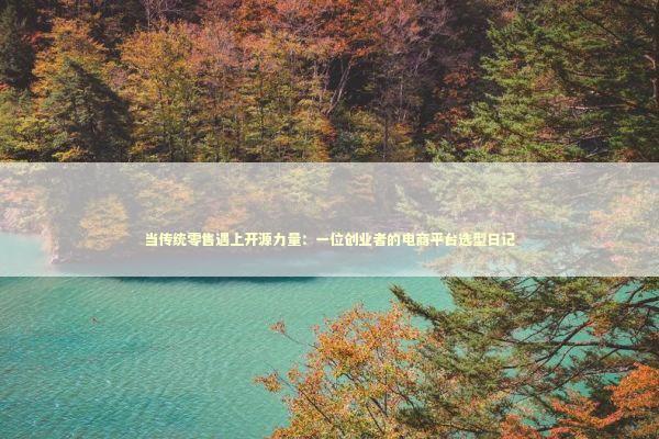 当传统零售遇上开源力量：一位创业者的电商平台选型日记 IT技术