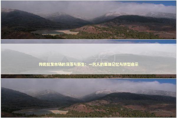 传统批发市场的没落与新生：一代人的集体记忆与转型启示
