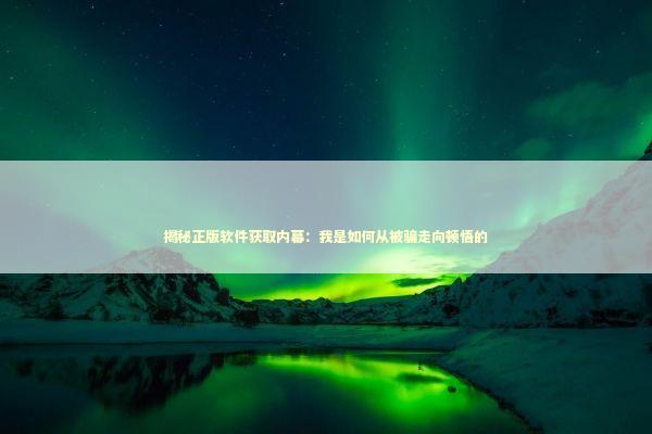 揭秘正版软件获取内幕：我是如何从被骗走向顿悟的 IT技术