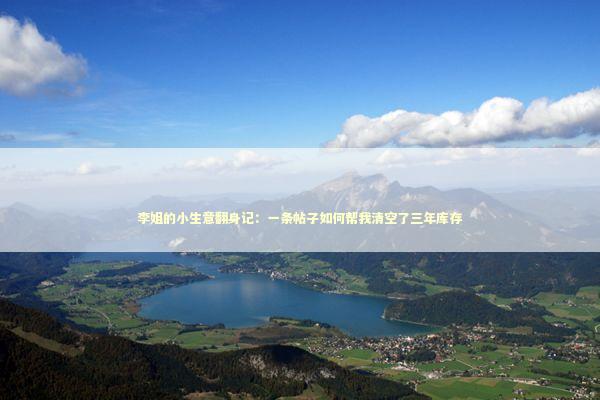 李姐的小生意翻身记：一条帖子如何帮我清空了三年库存 企业服务
